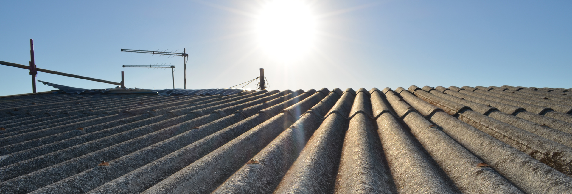 Asbestos Roof cat